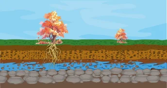 Integrated assessments and indicators for evaluating soil health